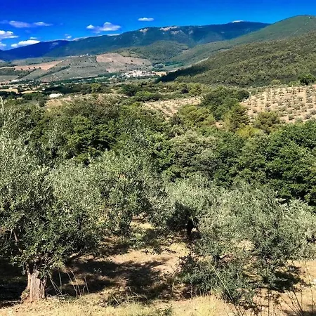 Villa Vallocchia - Sleeps 18 Exclusive Poolgrounds 5 Villa Borgiano (Perugia)